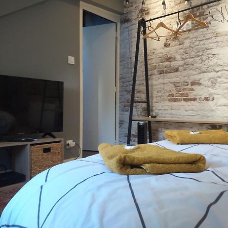 Les Volets Bleus - Deux Appartements Et Un Studio, Jardin Bourges Rum bild