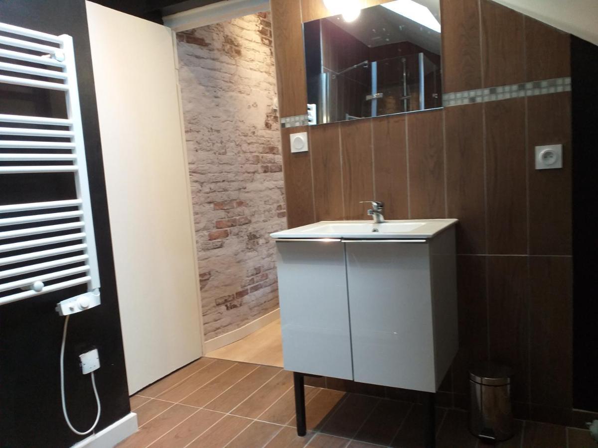 Les Volets Bleus - Deux Appartements Et Un Studio, Jardin Bourges Exteriör bild