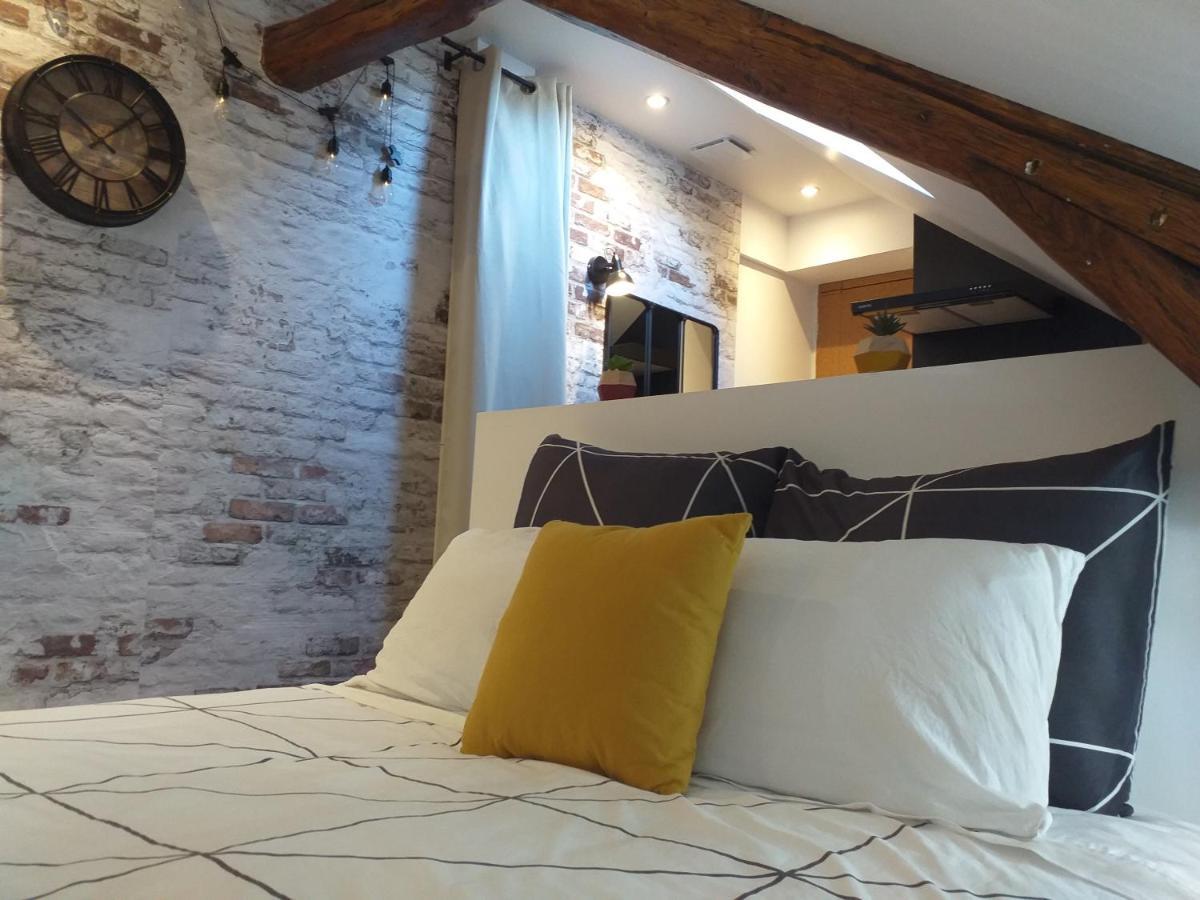 Les Volets Bleus - Deux Appartements Et Un Studio, Jardin Bourges Exteriör bild