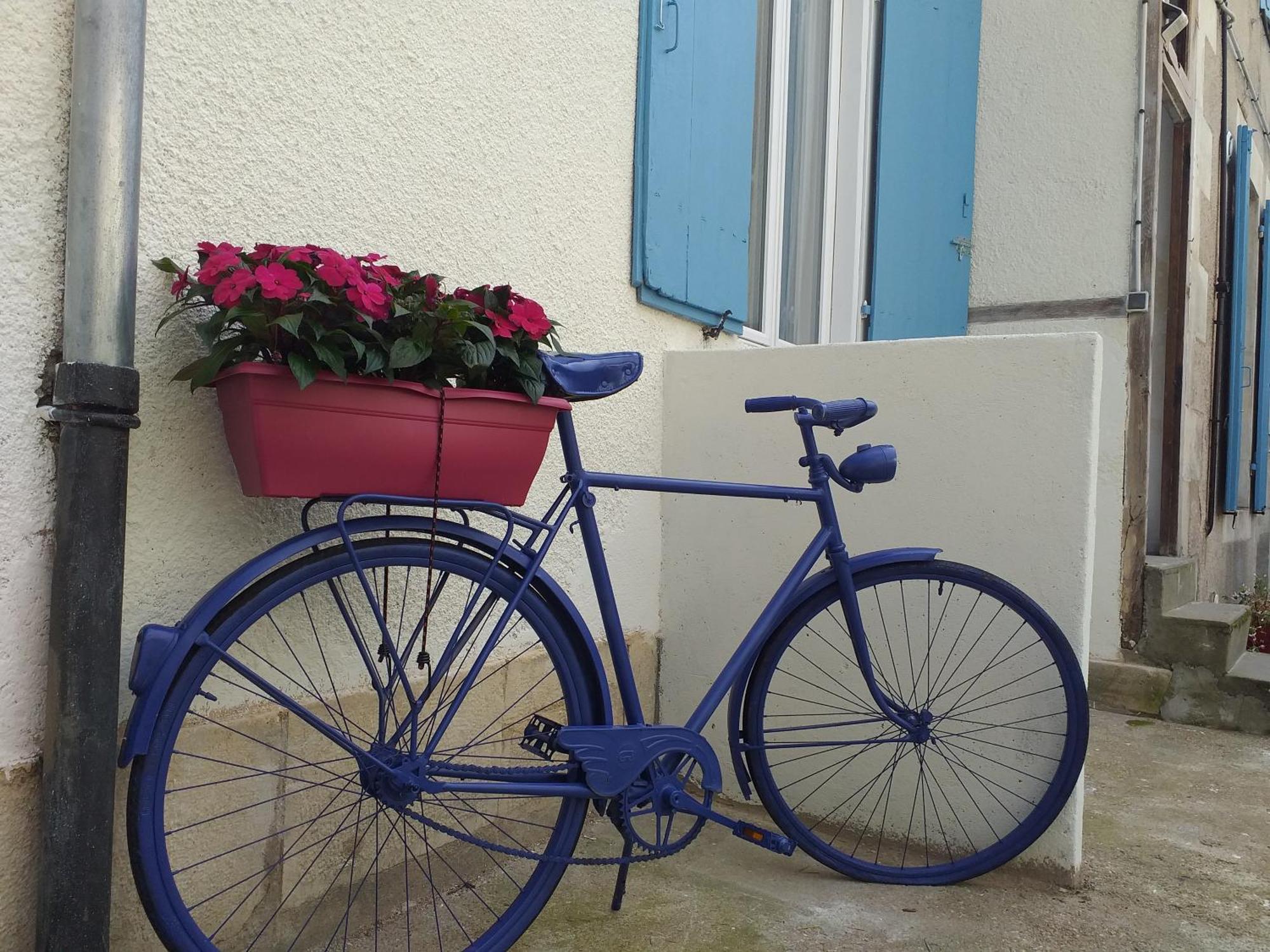 Les Volets Bleus - Deux Appartements Et Un Studio, Jardin Bourges Rum bild