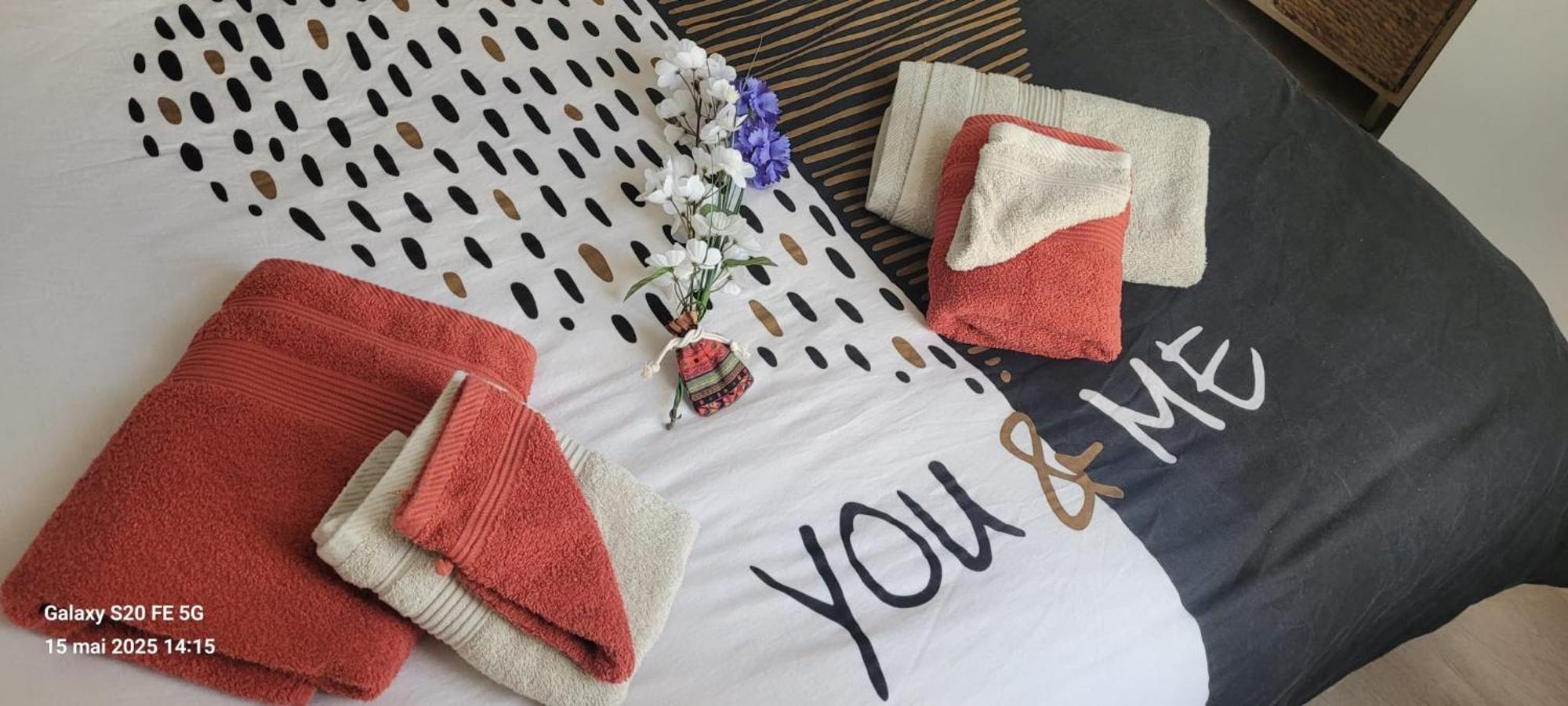 Les Volets Bleus - Deux Appartements Et Un Studio, Jardin Bourges Exteriör bild